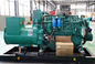 морской дизельный теплообменный аппарат генератора 100ква охлаждая сертификат общества классификации БВ