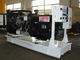 Намочите охлаженный генератор 40kva Perkins Genset тепловозный с двигатель, работающий в тяжелых условиях