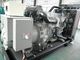 Мотор начала ДК генератора 1мв 24В параллели 1250ква перкинс синхронизации решетки дизельный